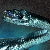 Plesiosaur