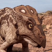 Protoceratops